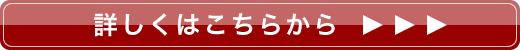 プロアクティブお試しセット詳細へ