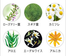 �A�X�J���ϕi�������b�t�c�[���I�[�K�j�b�N�X�L���P�A�v���~�A���Z�b�g