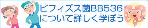 森永乳業のビヒダスBB536 500円モニタータイトル