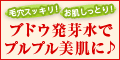 �������{uva�g���C�A���Z�b�g