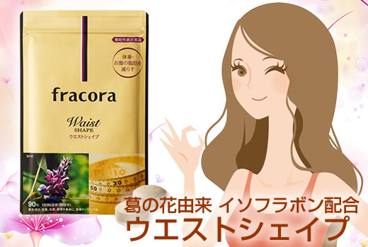 �t���R���u�E�G�X�g�V�F�C�v�v�^�C�g��