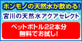 10�b�G�X�e�̔��E�c��