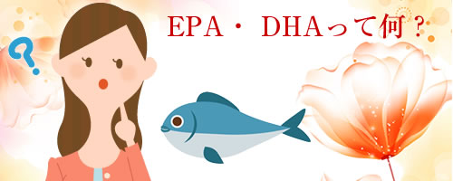 EPA�EDHA�Ƃ́H