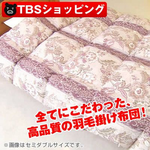 �n���K���[�Y�z���C�g�_�b�N�_�E��85���H�ъ|�z�c