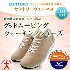 グッドムービングウォーキングシューズ詳細へ