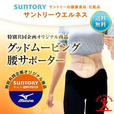 グッドムービング腰サポーター詳細へ