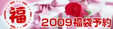 2009���ܗ\��
