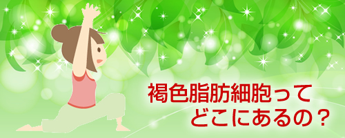 ���F���b�זE�Ƃ́H