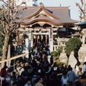 �m�������n��颐_�Ђ̐ߕ���