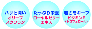 ���T�[�i�������Z�b�g ���┯�g���C�A���L�b�g