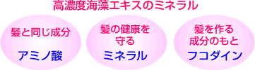 ���T�[�i���┯�g���C�A���L�b�g