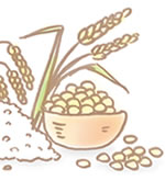 うるおいに満ちたハリ肌へ「ライスパワーNo.11」