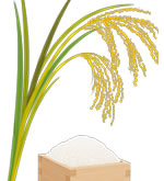 潤いをあたえる3つの発酵エキス