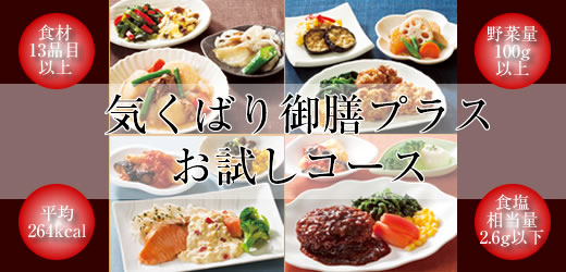 �C���΂�v���X�b�j�`���C