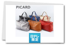 PICARD���v2WAY�o�b�O�@�����e�����聄