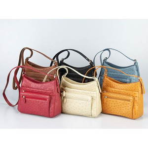 �I�[�X�g���b�`�v ���@�\�|�V�F�b�g