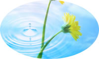 �q�A�������_�C���[�W