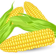 �����̒��q�𐮂���