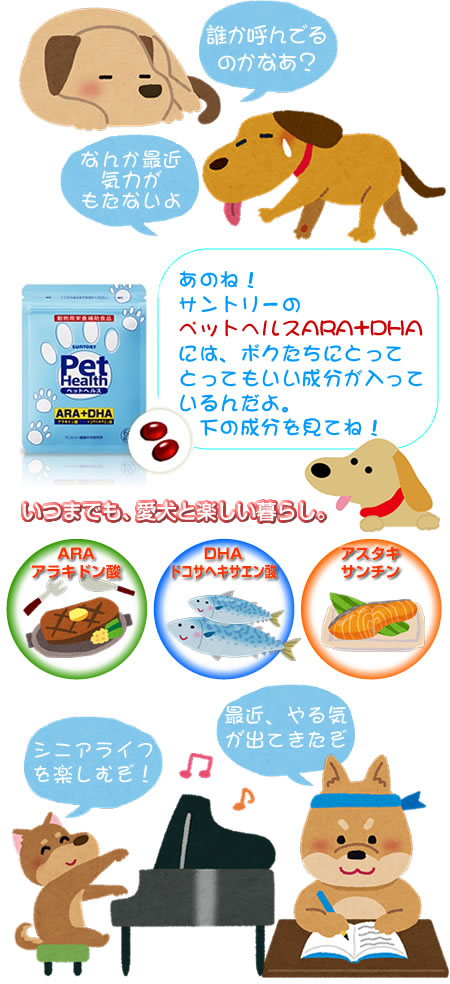 愛犬のためいつまでも聡明な毎日のための成分を配合