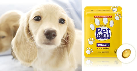 サントリー ペットヘルス セサミンE商品写真