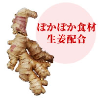���c�y�f�v���X��������