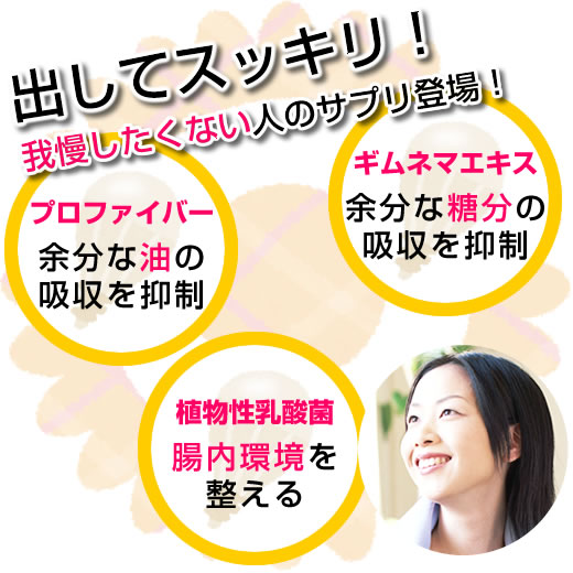 ��փv���t�@�C�o�[�v���X�̐�����O����