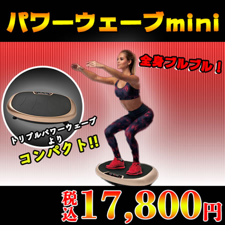 �p���[�E�F�[�umini