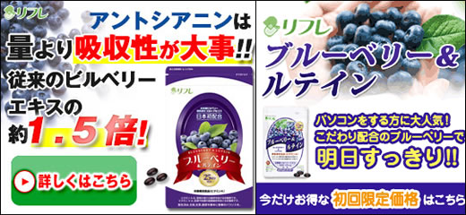 ���t���b�u���[�x���[�����e�C��