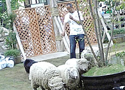 �ԍ�T�J�X�q��