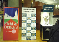 �f���炵���싅Field od DREAM in akasaka Sacas