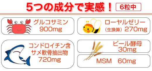 �T�N���� �O���R�T�~�����R���h���C�`��������