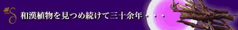�����z������l�Q�Q���g���C�A���Z�b�g