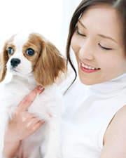 沖縄パワーの元ゴーヤをまるごと使用