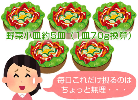 日本人の1日の野菜摂取量目安350g摂るには