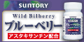 サントリー「ブルーベリー」詳細へ