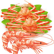 「グルコサミン」って何？