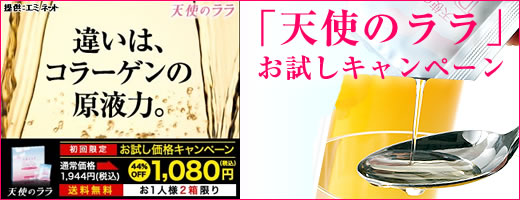 �V�g�̃���������