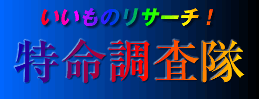 �������̃��T�[�`�����������b���b�s���O