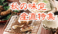 秋の味覚産直特集！
