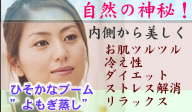 ひそかなブーム”よもぎむし”