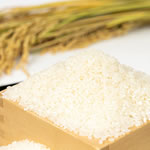 アヒル栽培米と特別栽培米食べ比べ定期便（自動継続）