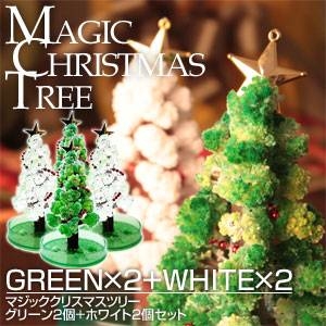�N���X�}�X�c���[�ʔ̓��W
