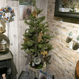 �N���X�}�X �o�X�P�b�g�c���[