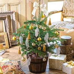 �y���������z���~�̖؂̃c���[�u�u���C�F�G���v