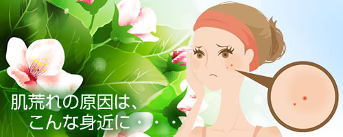 �C�{�E������̌����͂���Ȑg�߂�