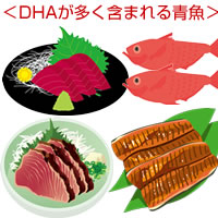 DHA�������܂܂���ȋ����