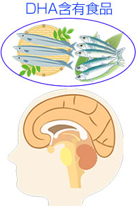 �uDHA�v���ĉ��I�H