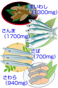 DHA�𑽂��܂ސ�