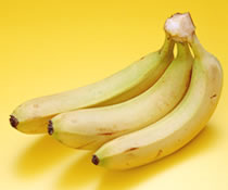 �o�i�i�C���[�W