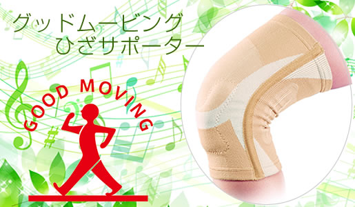 �T���g���[�~�~�Y�m�Ћ�����揤�i�u�O�b�h���[�r���O�@�Ђ��T�|�[�^�[�v�^�C�g��